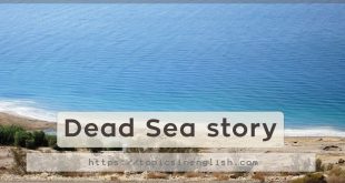 Dead Sea story
