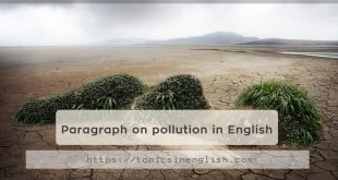 Paragraph on pollution in English