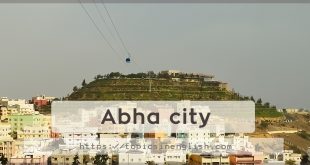 Abha city