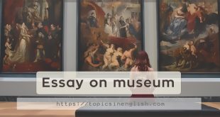 Essay on museum
