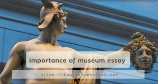 Importance of museum essay