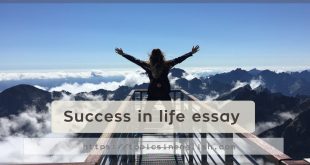 Success in life essay
