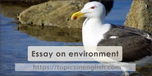 topics for essay about environment