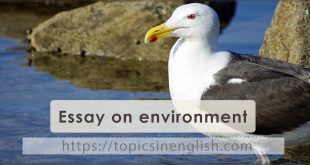 Essay on environment