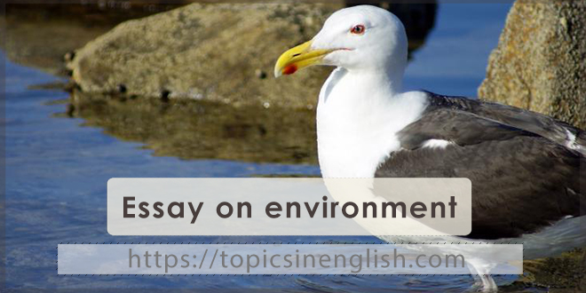 Essay on environment
