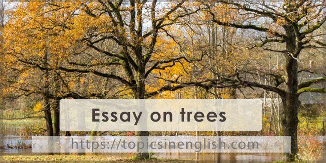 Essay on trees
