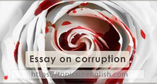 Essay on corruption