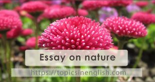 Essay on nature