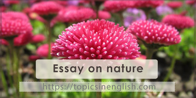 Essay on nature