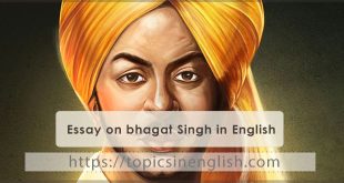 Essay on bhagat Singh in English