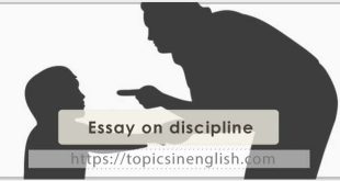 Essay on discipline