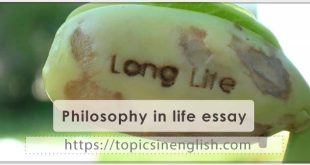 Philosophy in life essay