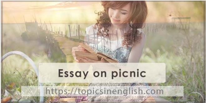 Essay on picnic