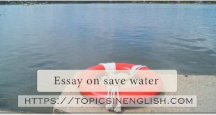 Essay on save water