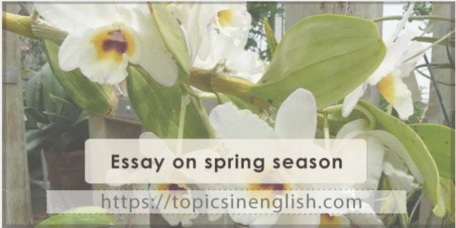 Essay on spring season