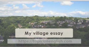 My village essay