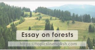 Essay on forests