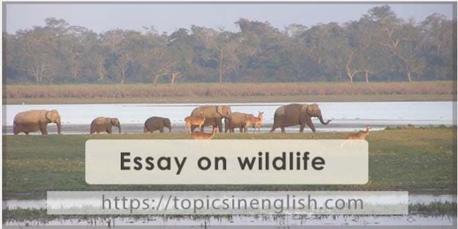 Essay on wildlife