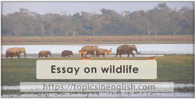 Essay on wildlife 14 models | Topics in English