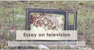 Essay on television