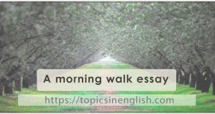 A morning walk essay