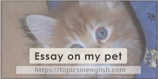 Essay on my pet
