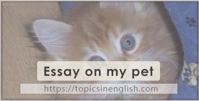 Essay on my pet | Topics in English