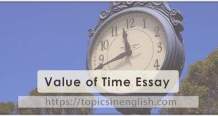 Value of Time Essay