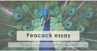 Peacock essay