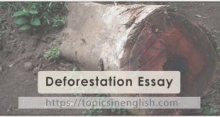 Deforestation Essay