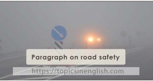 Paragraph on road safety