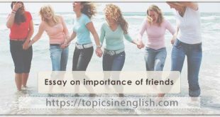 Essay on importance of friends