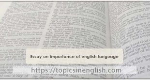 Essay on importance of english language