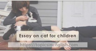 Essay on cat for children