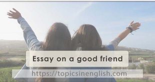 Essay on a good friend