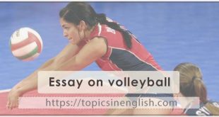 Essay on volleyball