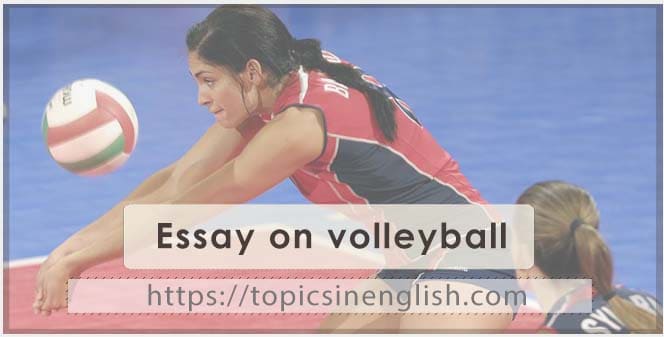 essay about volleyball brainly