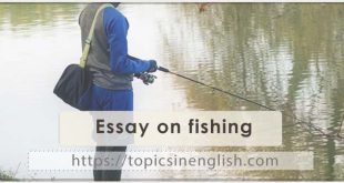 Essay on fishing
