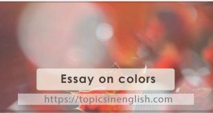 Essay on colors