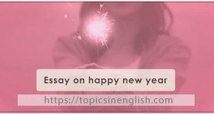 Essay on happy new year