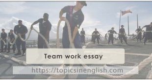 Team work essay