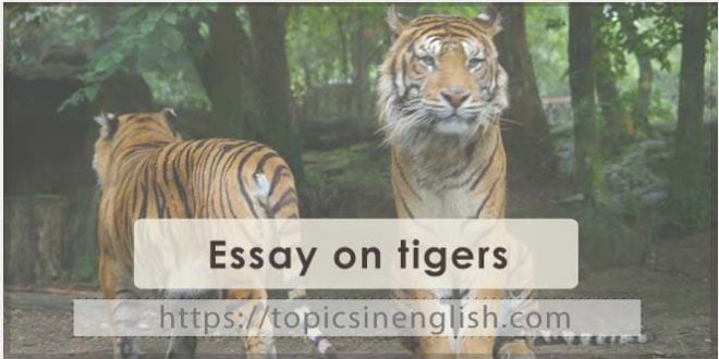 Essay on tigers 2 models | Topics in English