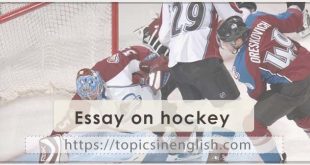 Essay on hockey