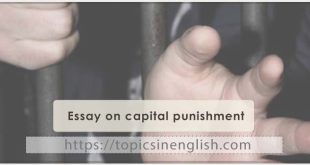 Essay on capital punishment