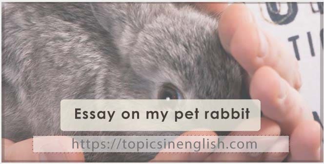 Essay on my pet rabbit 2 model | Topics in English