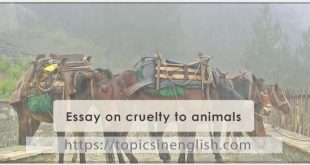 Essay on cruelty to animals