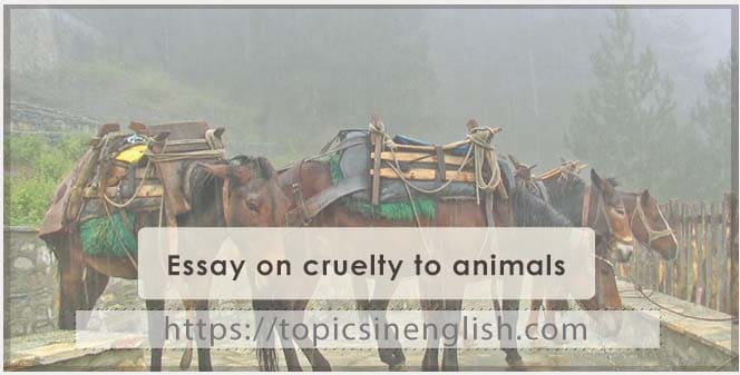 Essay on cruelty to animals 3 | Topics in English