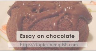 Essay on chocolate