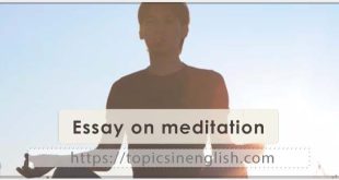 Essay on meditation
