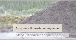 Essay on solid waste management